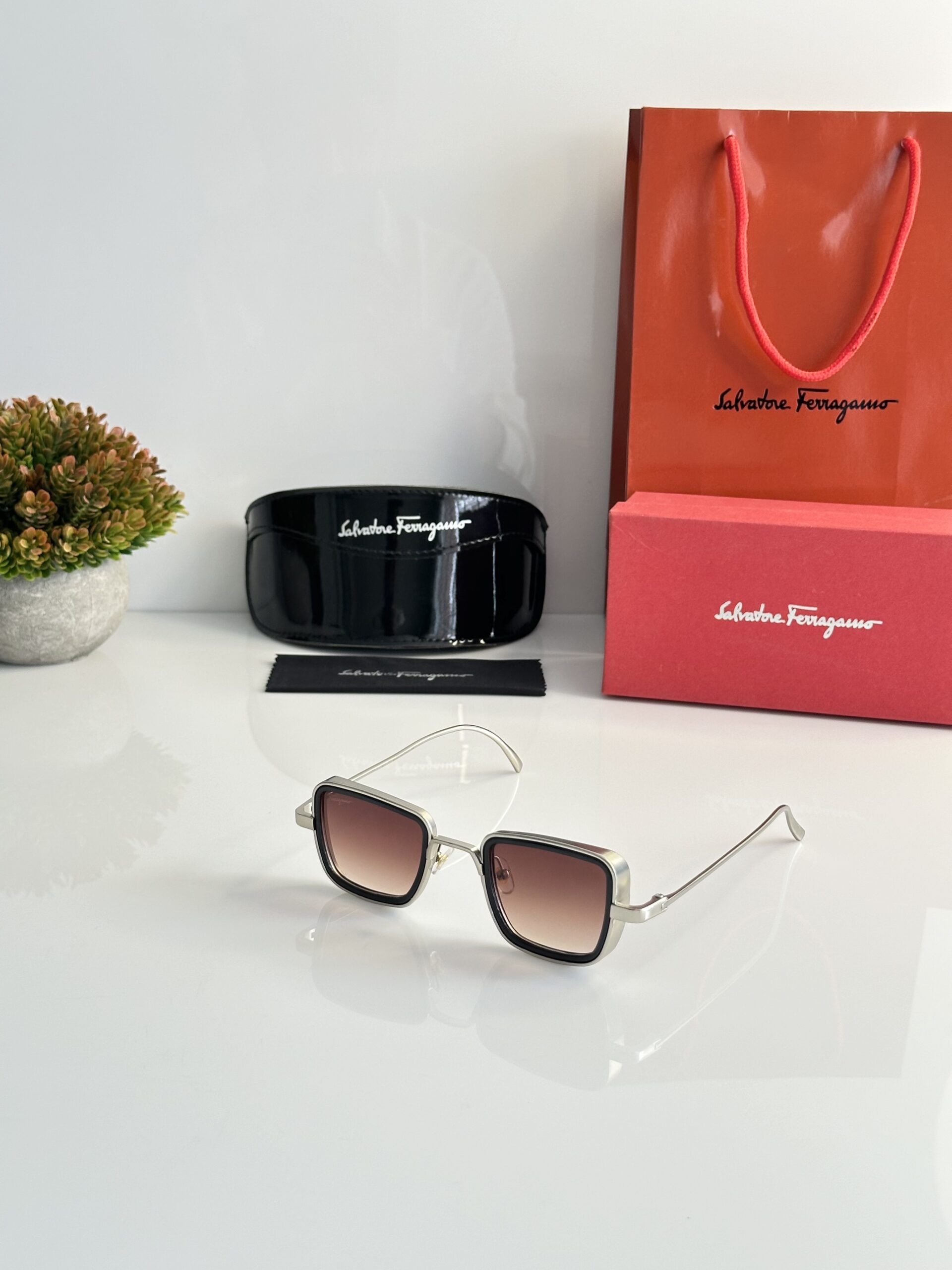 Salvatore_Ferragamo_3919_Silver_Brown_Dc