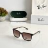 Rayban 4614 Brown