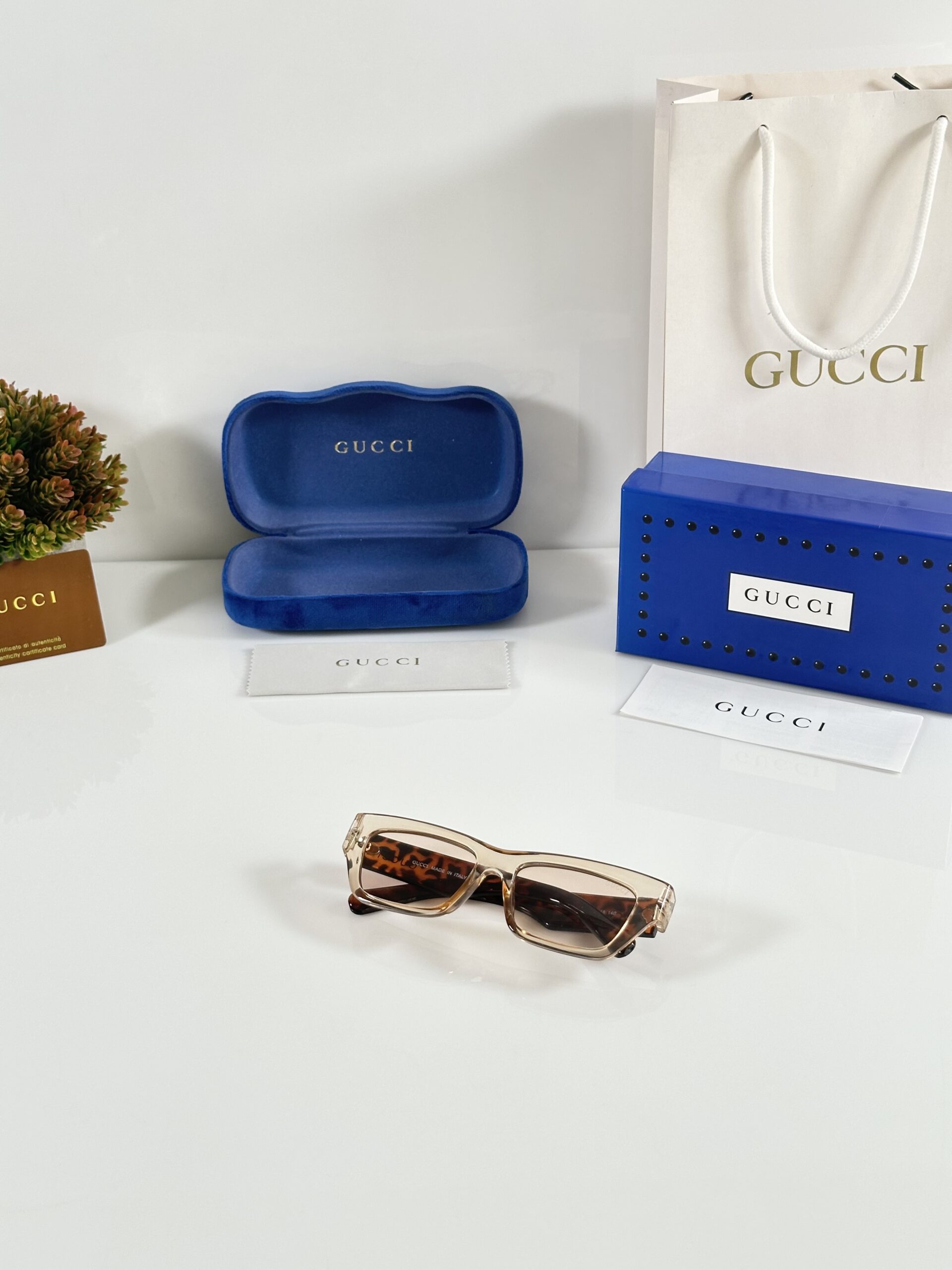 Gucci_1296_Tiger_Water_Brown - Image 4