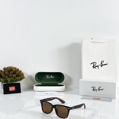 Rayban Reverse 0503 Brown
