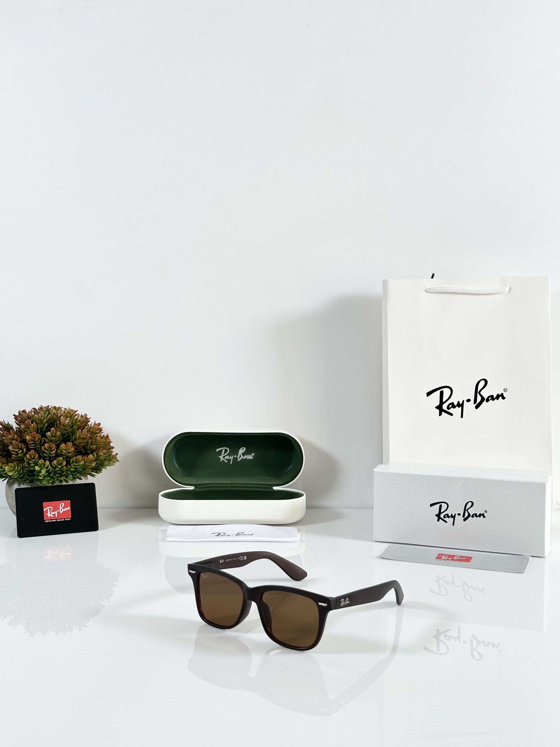 Rayban Reverse 0503 Brown