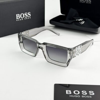 Boss transparent grey 1310