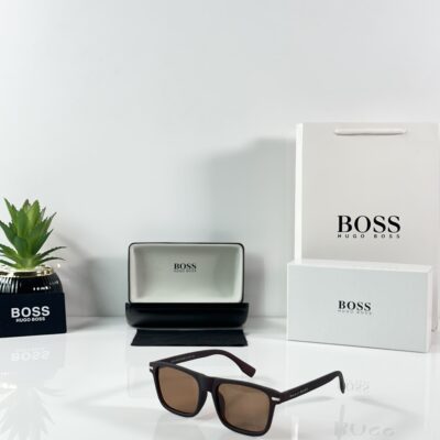 Hugo_Boss_1322_Brown