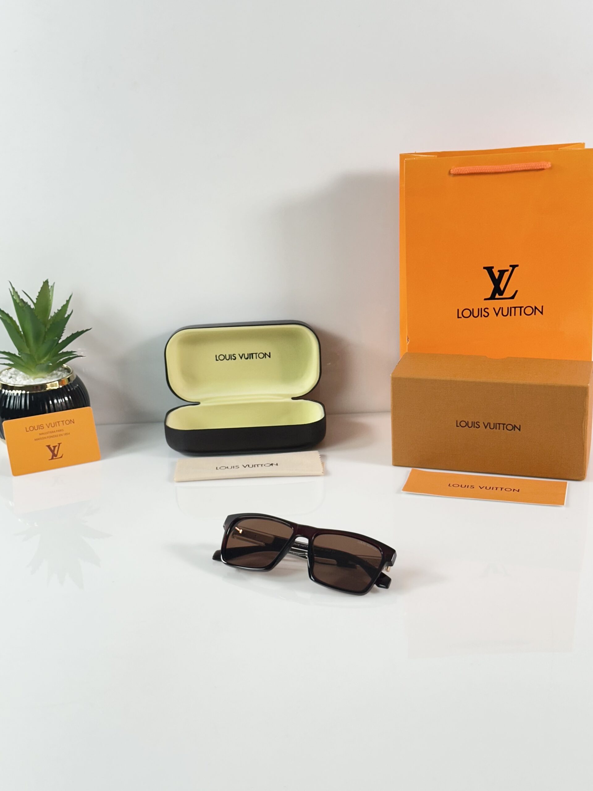 Louis_Vuitton_2191_Brown - Image 4